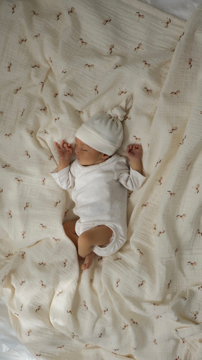 peekaboo / pony blanket